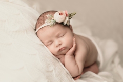 newborn photography