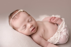 newborn photography gladstone